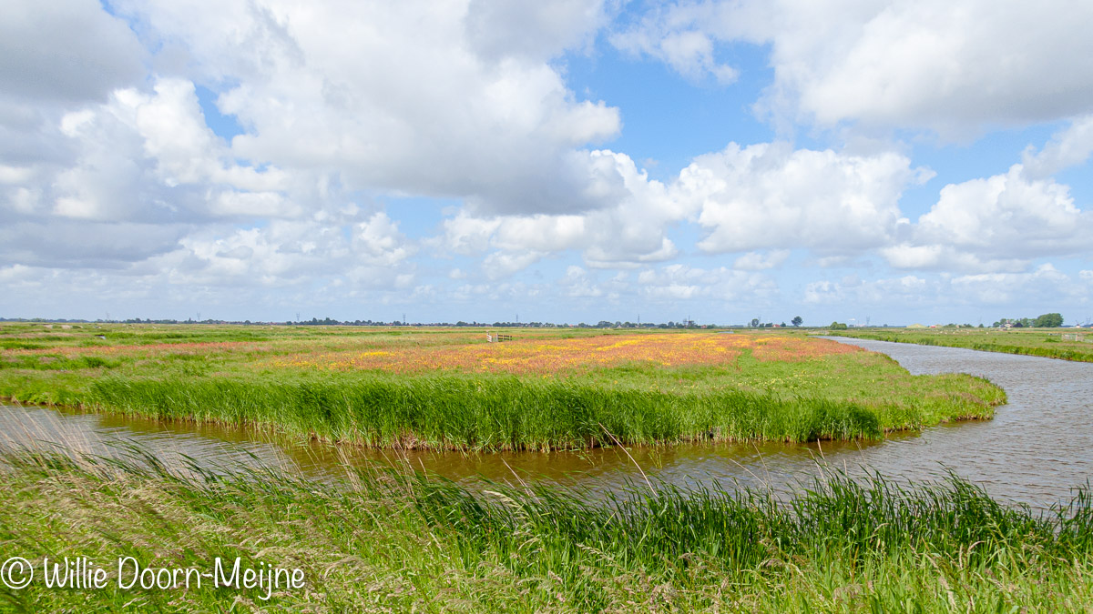 Noord-Hollandpad