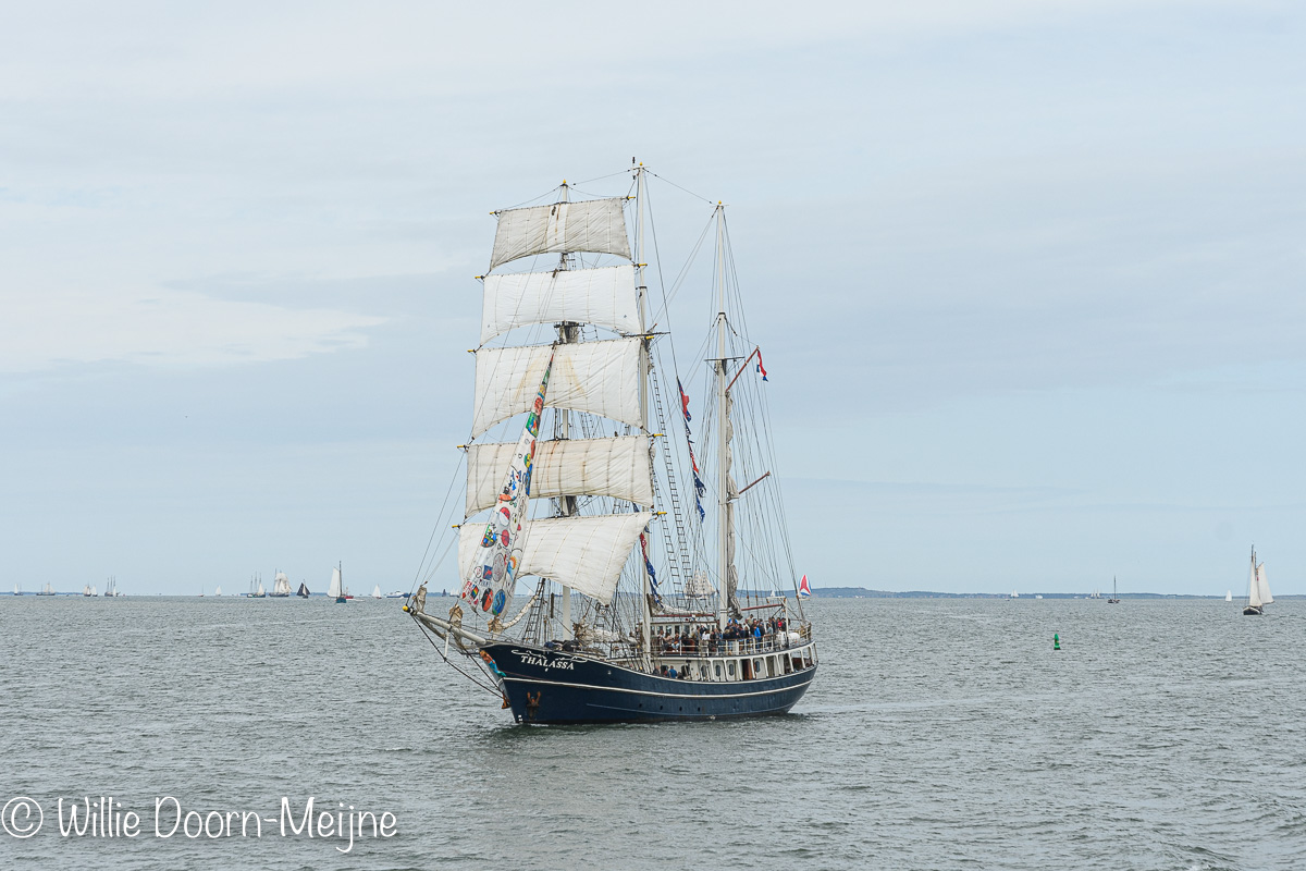 Sail Harlingen